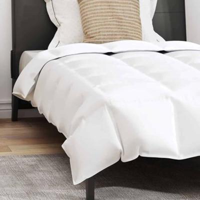 VidaXL Winter dekbed met kussen 2 pcs wit donsveertjes