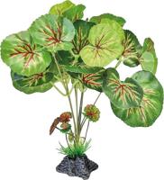 Plant standing round leaves Repto - Repto - thumbnail