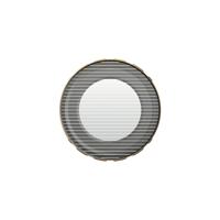 PolarPro - LiteChaser - iPhone 13 - Goldmorphic - Filter - thumbnail