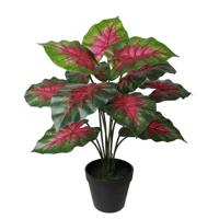 Caladium rood 40 cm kunstplant Buitengewoon de Boet - Buitengewoon de boet - thumbnail