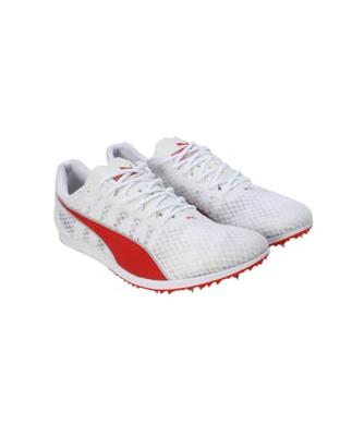 PUMA evoSPEED Distance 11 Heren