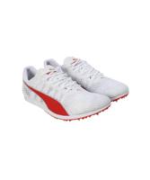 PUMA evoSPEED Distance 11 Heren - thumbnail