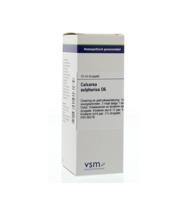 VSM Calcarea sulphurica D6 (20 ml) - thumbnail