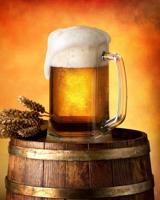 Fleeceplaid Bierpul - 120 x 150 cm - thumbnail