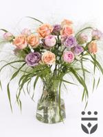 Pastel plus centerpiece - Platinum | Medium - thumbnail