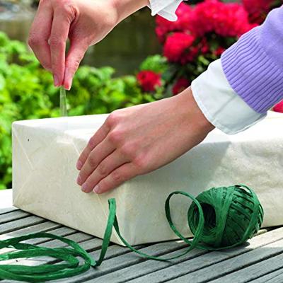 Plakband tesafilm® Standaard 66mx19mm transparant