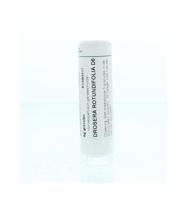 Drosera rotundifolia D6 - thumbnail