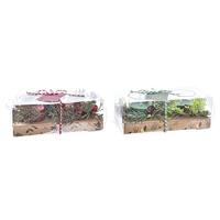 Kaarsenset DKD Home Decor Kerstmis (5,5 x 5,5 x 6 cm) (2 Stuks) - thumbnail