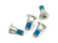 TRW bouten set screw set 4pcs. m8x1,25 - thumbnail