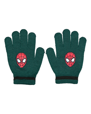 Handschoenen - Groen