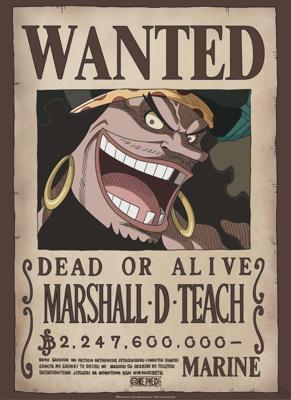 Poster One Piece - Wanted Blackbeard 38x52cm
