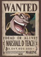 Poster One Piece - Wanted Blackbeard 38x52cm - thumbnail