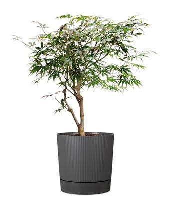 Ronde bloempot met waterreservoir - GARDEN ID - Lino - Ø 47 - 43 L - H 46 cm - Metaalgrijs