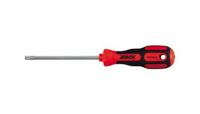 4tecx Schroevendraaier Torx Tx20 L100Mm - thumbnail