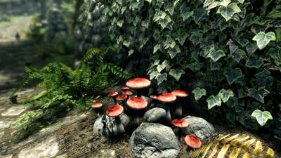 Nintendo Switch The Elder Scrolls V: Skyrim