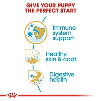 Royal Canin Puppy Golden Retriever hondenvoer 12 kg