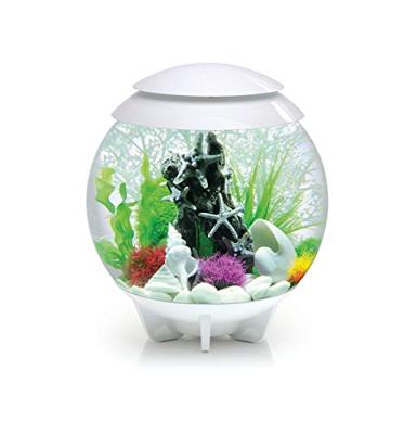 BiOrb schelp set 3 wit aquarium decoratie