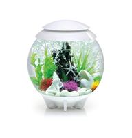BiOrb schelp set 3 wit aquarium decoratie - thumbnail