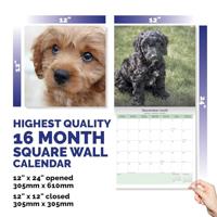 Cockapoo Puppies Kalender 2026 - thumbnail