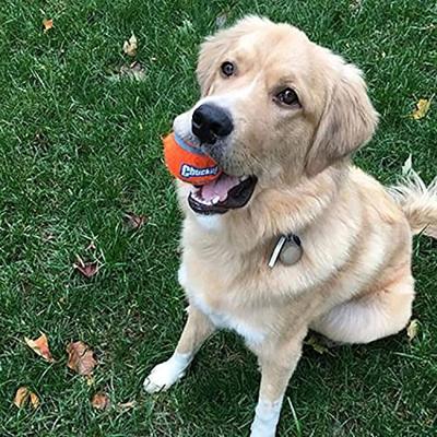 Chuckit! Tennis Ball M (4-pack) Chuckit! Tennis Ball M (4-pack)