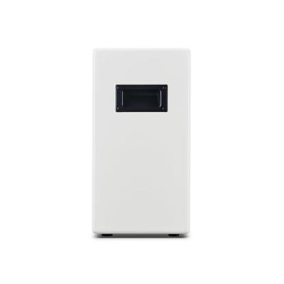 Positive Grid Spark Cab Pearl