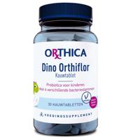Dino Orthiflor - thumbnail