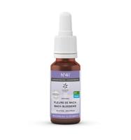 Bachbloesem Bio N°41 Druppels Concentratie 20ml - thumbnail