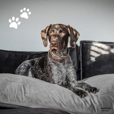 Madison hondenkussen velvet 120x90x15 cm grijs