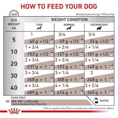 Royal Canin Veterinary Gastrointestinal High Fibre natvoer hond (paté) 4 trays (48 x 410 g)
