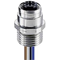 Lumberg Automation 108774 Sensor/actuator connector, geassembleerd M12 Aantal polen (sensoren): 4 Bus, inbouw 0.50 m 1 stuk(s) - thumbnail