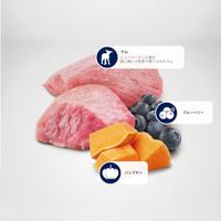 Pumpkin Agneau & Myrtille Chien Adulte Mini - 2,50 Kg - thumbnail