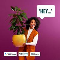 WiZ Lichtbron 6,5W - E27 - Led Gold 2000-5000K 929003018101 - thumbnail