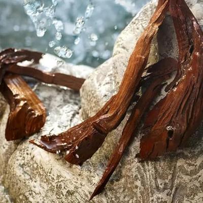 Dolce & Gabbana - D&G Light Blue Pour Femme Eau de toilette Spray 25 ml Dames