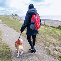 KONG Fold-Up Double Bowl - thumbnail