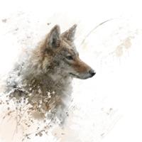 Schilderij - Wolf , 3 maten , Beige bruin , Wanddecoratie - thumbnail