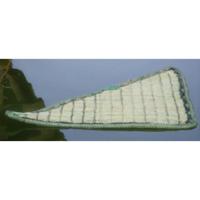 Drijvend planteneiland - thumbnail
