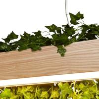 Searchlight Aanrecht hanglampAsh - 7231 - thumbnail