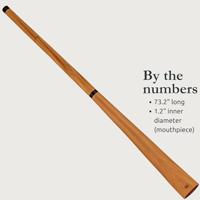 Meinl DDPROFNTD Sliced Pro didgeridoo toon D incl. draagtas - thumbnail