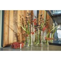 Cilindervaas glas Ø12xh25cm - thumbnail