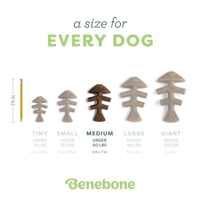 Benebone Fishbone nylon kauwspeelgoed hond (zalmsmaak) M Benebone Fishbone nylon kauwspeelgoed hond (zalmsmaak) M