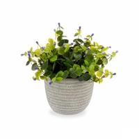 Decoratieve plant Ibergarden Plastic Blommor 21 x 20,6 x 21 cm (8 Stuks) - thumbnail