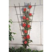 Metalen klimrek V-vorm recht verzinkt - thumbnail