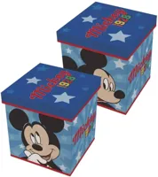 Mickey Mouse 1928 opbergbox 30 x 30 x 30 cm - thumbnail