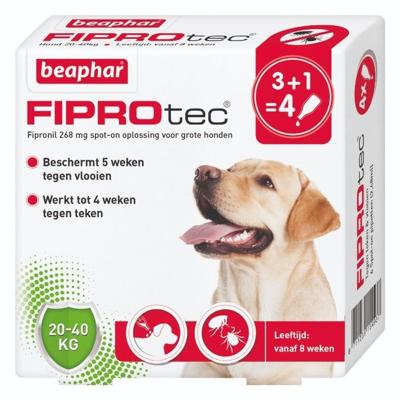 Beaphar fiprotec hond tegen teken en vlooien