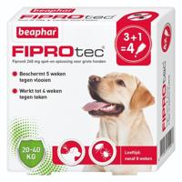 Beaphar fiprotec hond tegen teken en vlooien - thumbnail