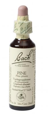 Bach Flower Remedies Den 24 Bach Flower Remedies Den 24