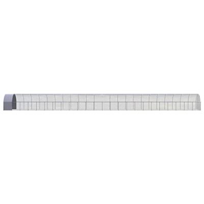 Kippenren 3x24x2 m gegalvaniseerd staal