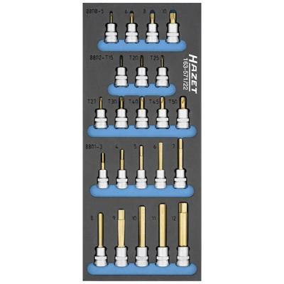 HAZET Dopsleutelbitset 163-571/22 - 3/8 inch (10 mm) vierkant hol - Binnen-TORX®-profiel, Binnenveeltandprofiel XZN, Binnen-zeskant-profiel - 22-delig HAZET Dopsleutelbitset 163-571/22 - 3/8 inch (10 mm) vierkant hol - Binnen-TORX®-profiel, Binnenveeltandprofiel XZN, Binnen-zeskant-profiel - 22-delig