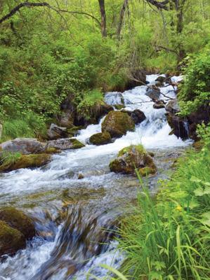 Waterbeek 50x70cm Tuinschilderij Customize-it - Customize it Waterbeek 50x70cm Tuinschilderij Customize-it - Customize it