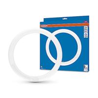 OSRAM HOMELIGHTING LED-buis-Ring Energielabel: E (A - G) G10q 18.3 W = 32 W Koudwit 1 stuk(s) (Ø x l) 300 mm x 300 mm - thumbnail
